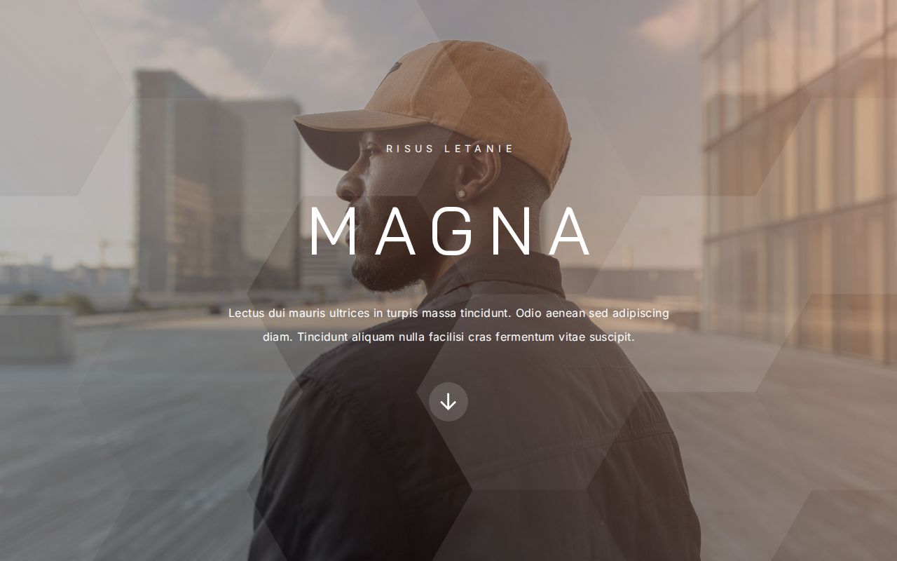 Landing | Template #78