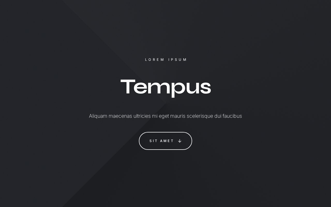 Landing | Template #51