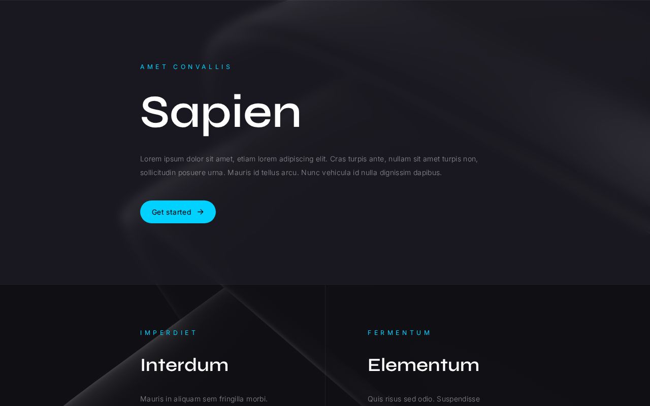 Landing | Template #30