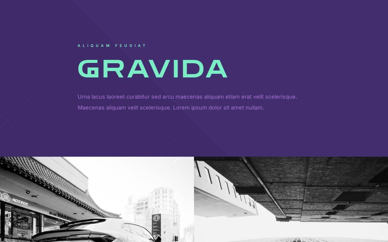 Landing | Template #41