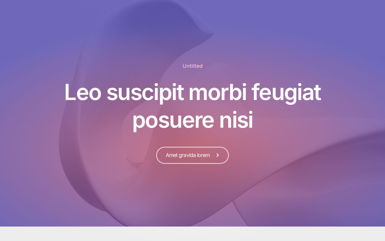 Landing | Template #17