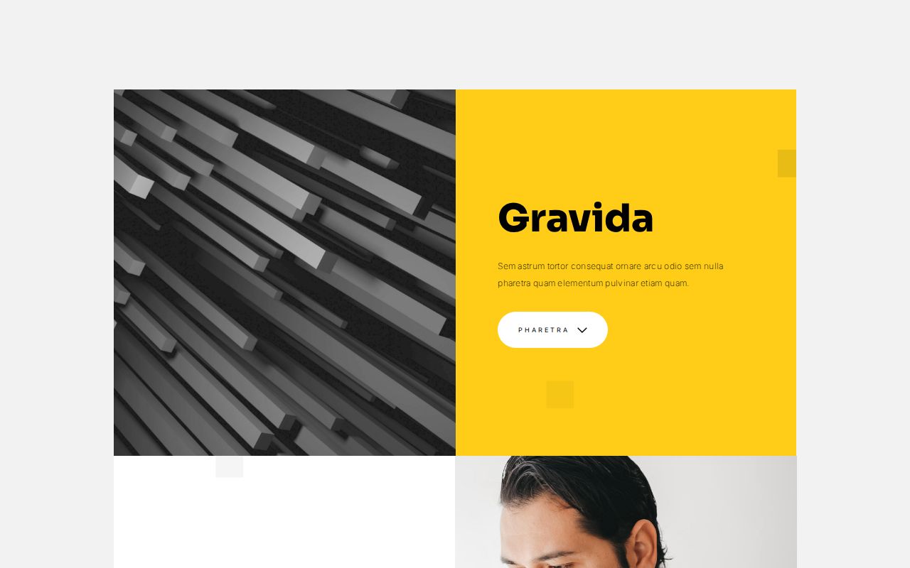 Landing | Template #50