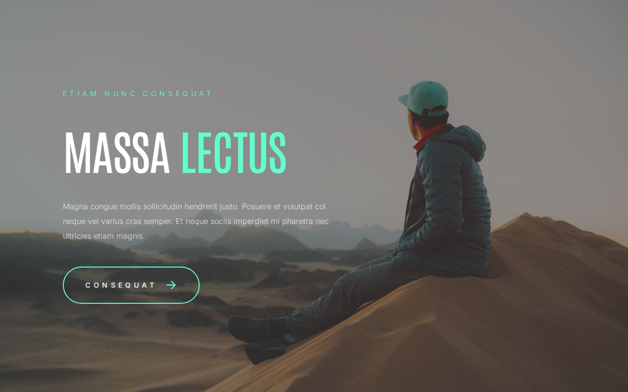 Landing | Template #13