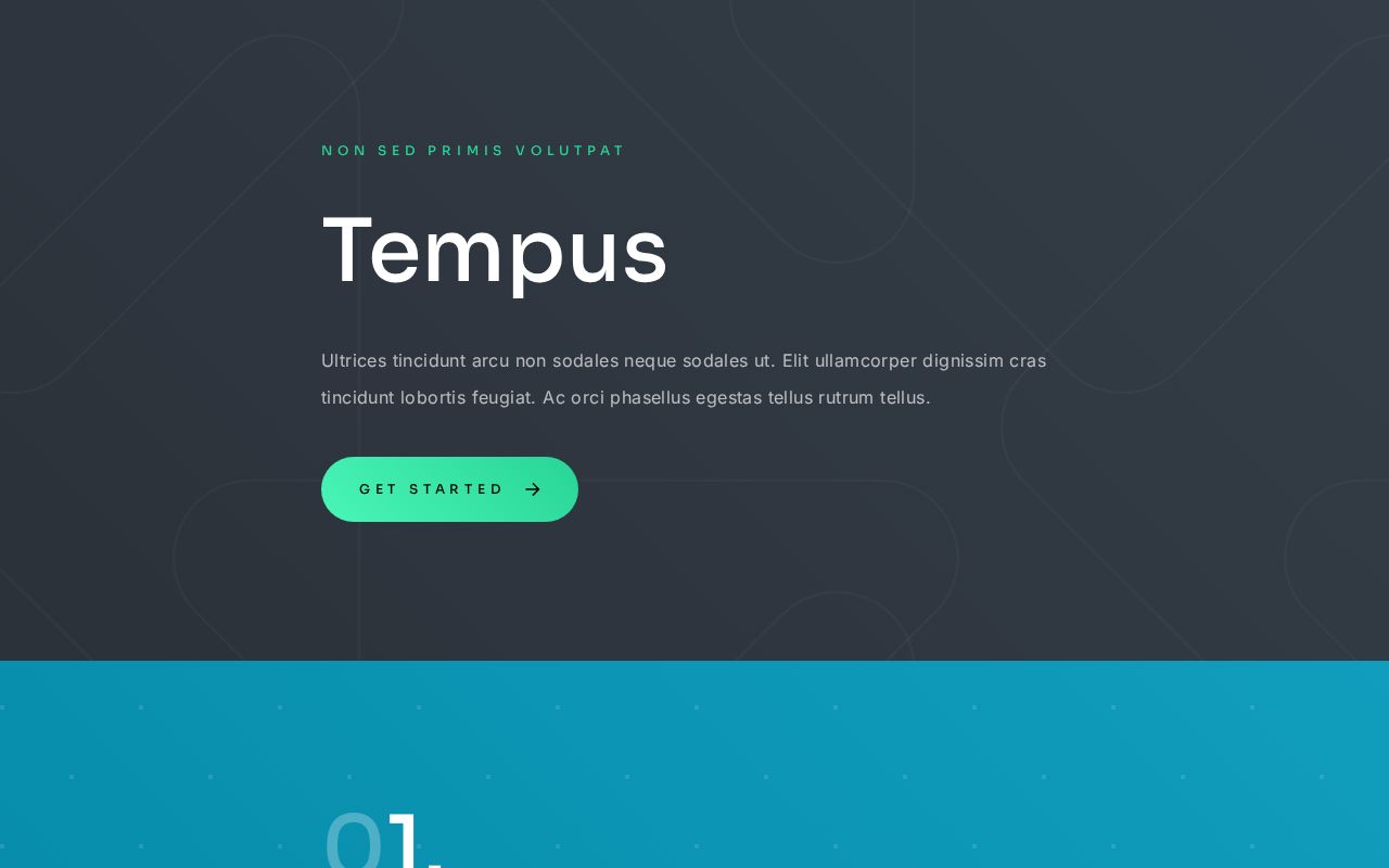Landing | Template #9