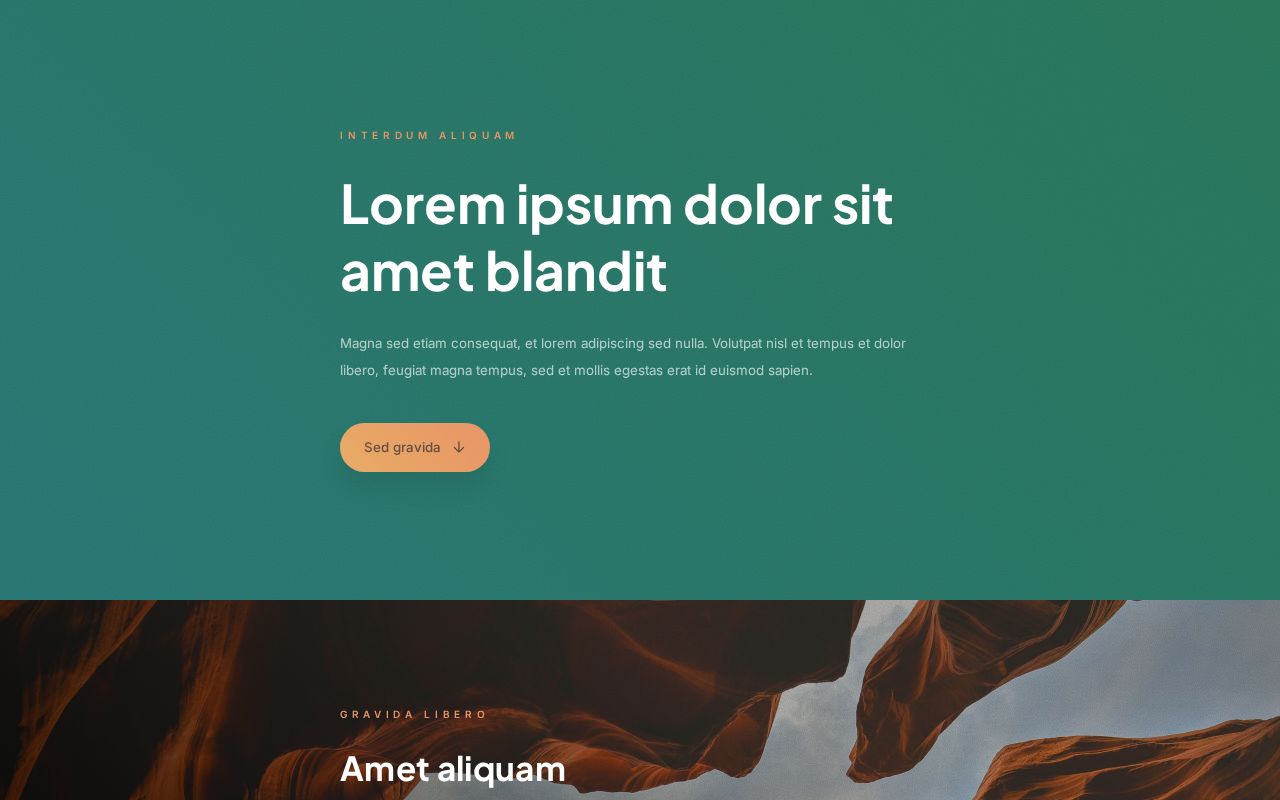 Landing | Template #19