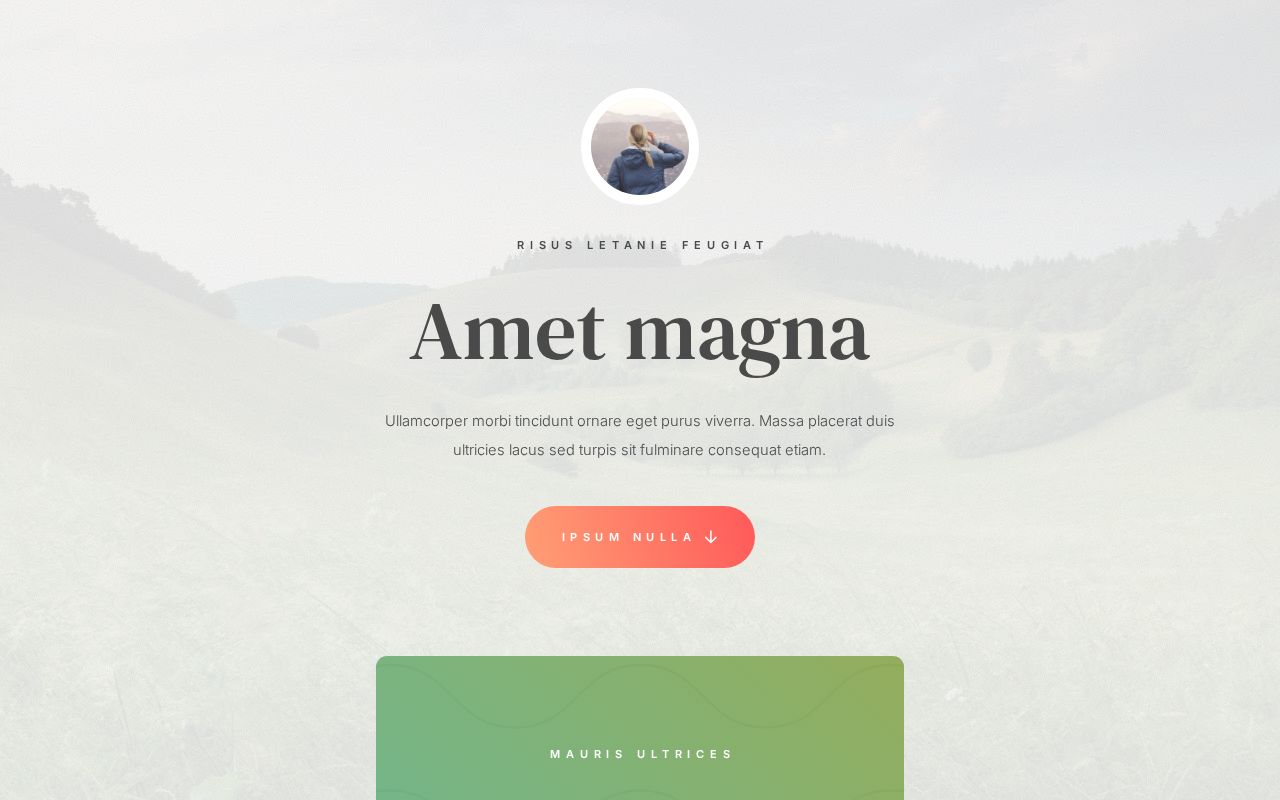 Landing | Template #85