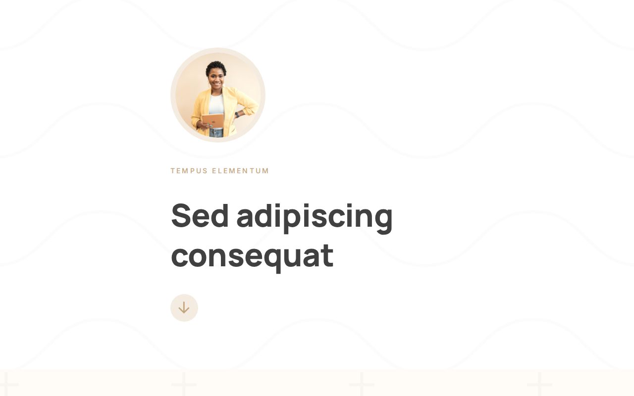 Landing | Template #77