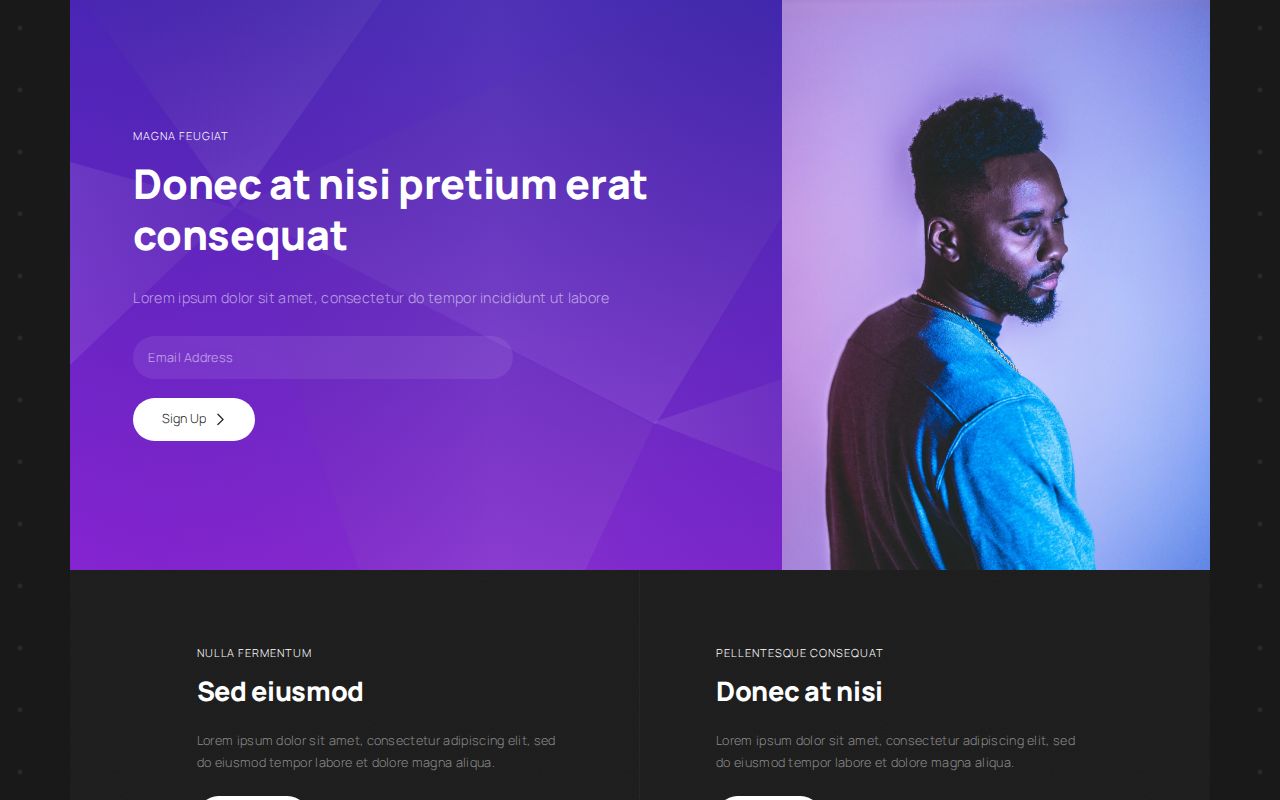 Landing | Template #133