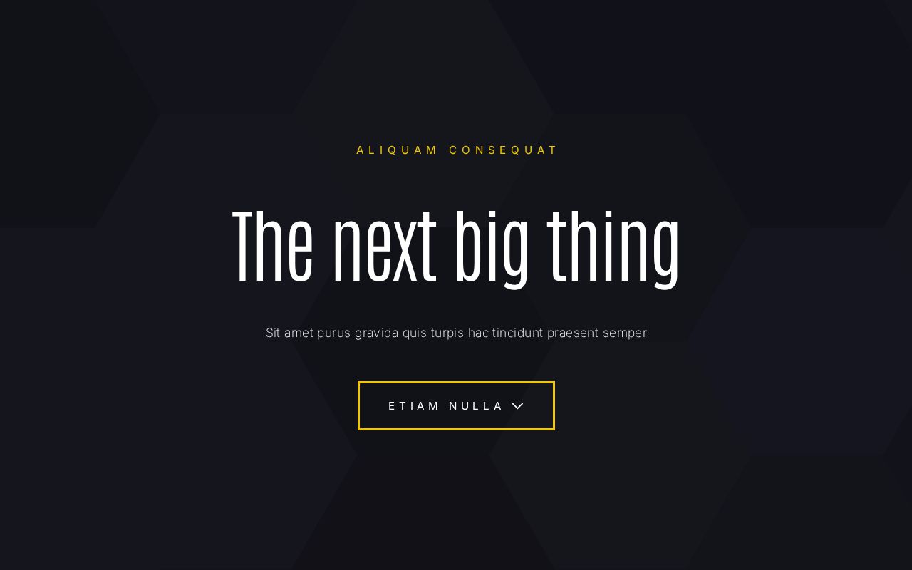 Landing | Template #86